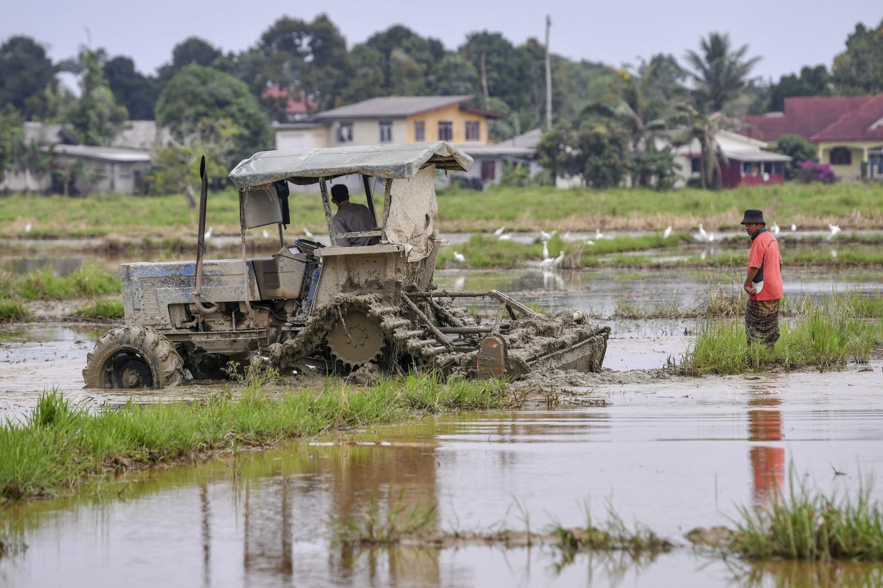 Budget 2023: Govt targets 324ha of idle land to help boost food security, says Tengku Zafrul - Vimarsana News