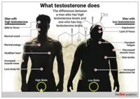 Low testosterone levels don't just occur in older men, but younger ages as well