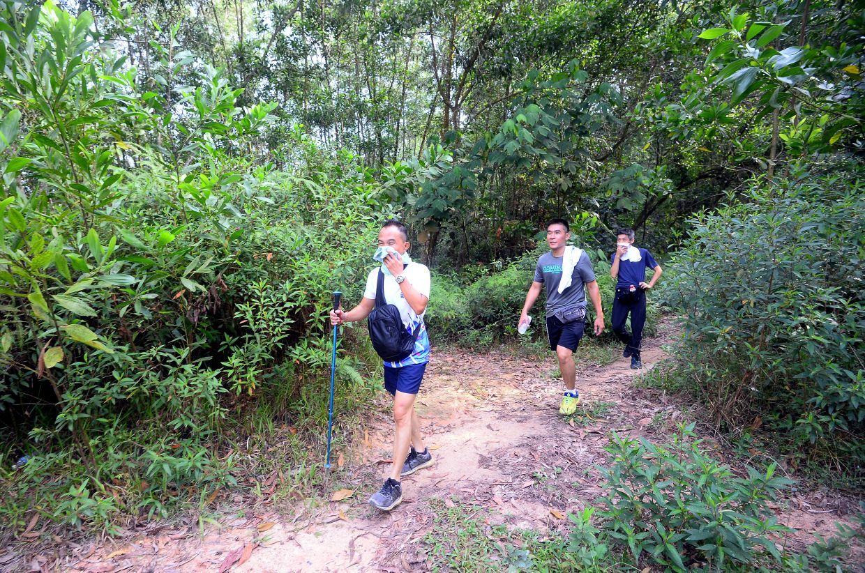 QuickCheck: Will forest reserves in Selangor be closed to the public? - Vimarsana News