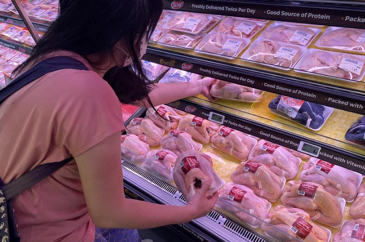 Fresh Malaysian chicken back on sale in Singapore - Vimarsana News