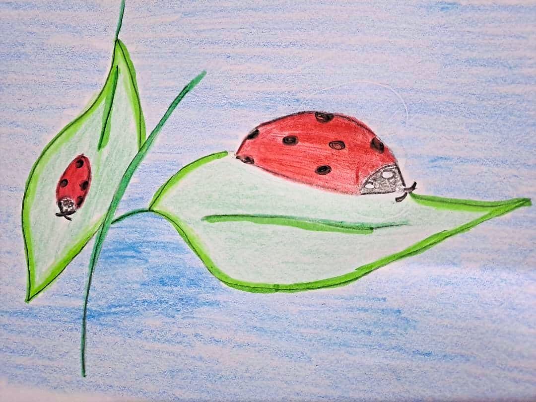 Zhaara’ Shariffullah, 8
