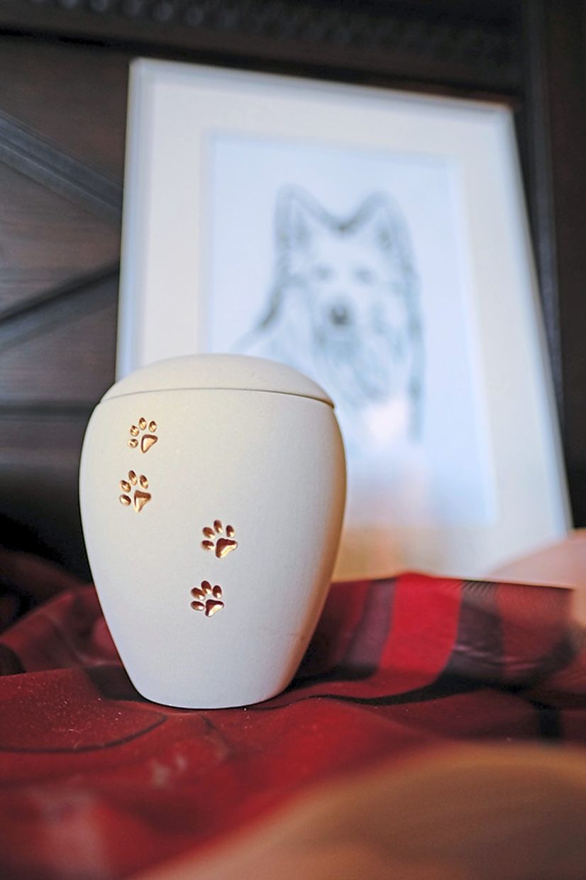 When a pet dies 3 things you can do to prepare for your pet's final