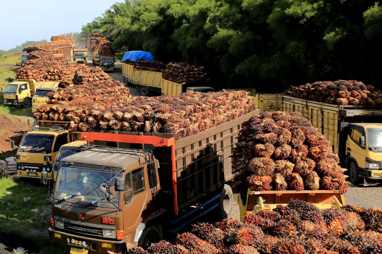 Indonesia posts US$3.9bil budget surplus in Jan-Sept - Vimarsana News