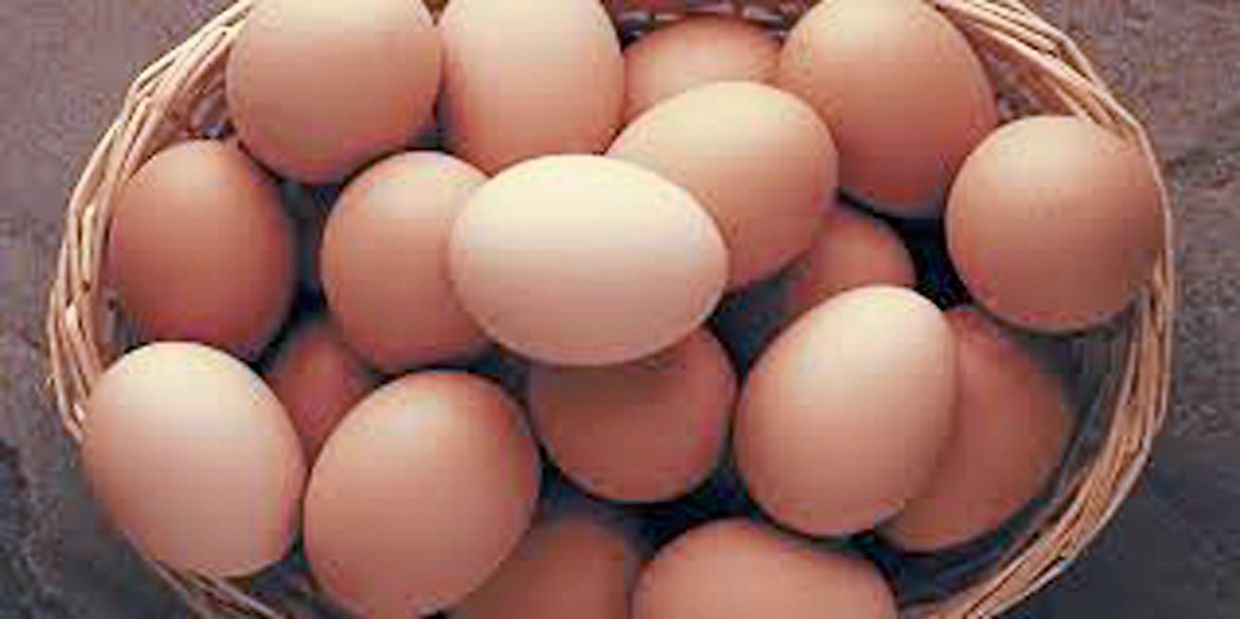 Egg shortage: Removal of price ceiling the solution? | The Star