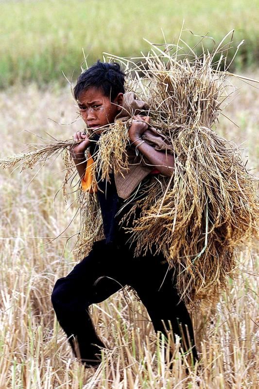 Unicef, Laos plan future cooperation - Vimarsana News