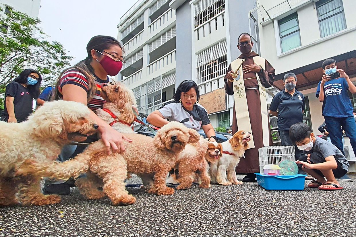 Father Michael blessing the dogs and hamster owned by Cheah (middle)and daughter Lim at the Church of Divine Mercy in Sungai Ara, Penang.