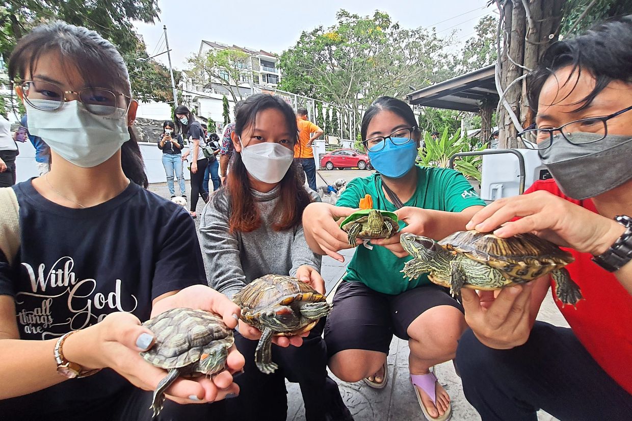 Gwyneth Tan, 17, Ashley Chong, 19, Agape and Julia Boey, 49, with their terrapins Trinity, Jade, Tikka and Oogway respectively.