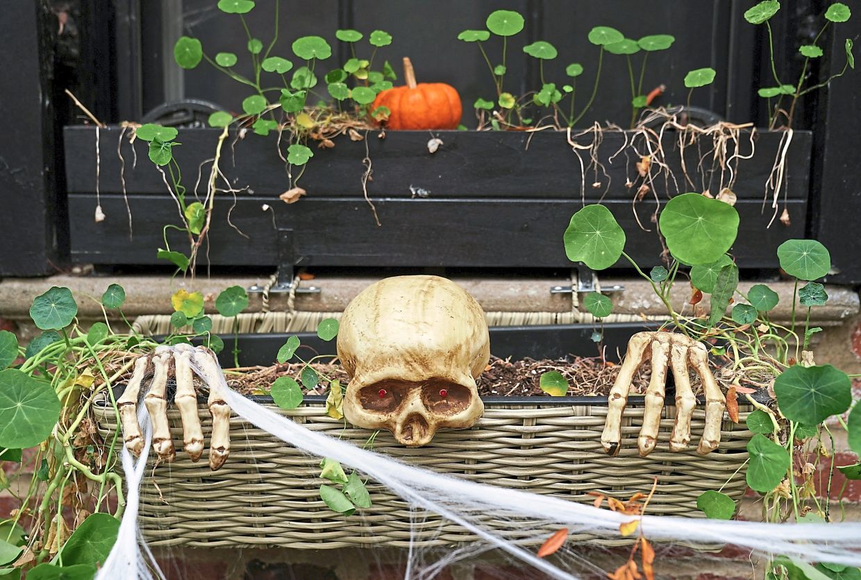Weekend for the arts: a Halloween ball, ghostly short film binge - Vimarsana News