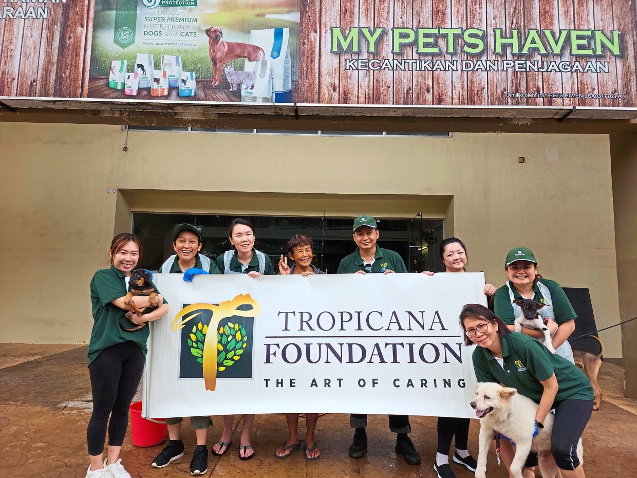 Round of apaws for helping animal shelters The Star