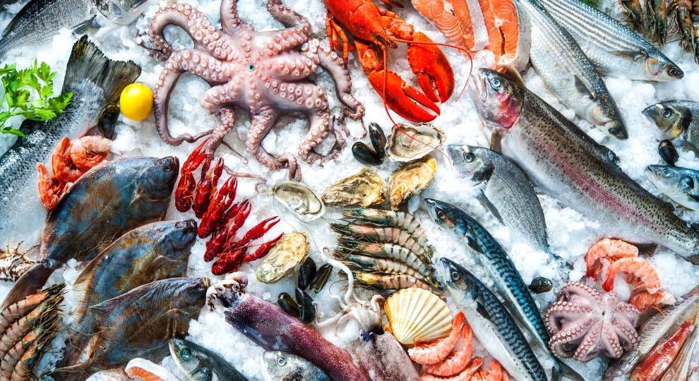 Blame bad weather, rising labour and fuel costs for higher fish prices in Singapore, price hike up to 10%-20% - Vimarsana News