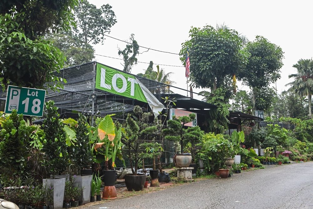 Horticulture hub pioneers not ready to be uprooted - Vimarsana News