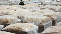 Hong Kong customs seizes almost 50 tonnes of dried seafood worth HK$250 million in biggest smuggling bust so far this year