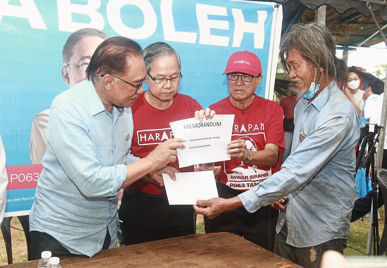 The contender: Anwar (left) listening to the plight of farmers on their crops in Tambun. — RONNIE CHIN/The Star