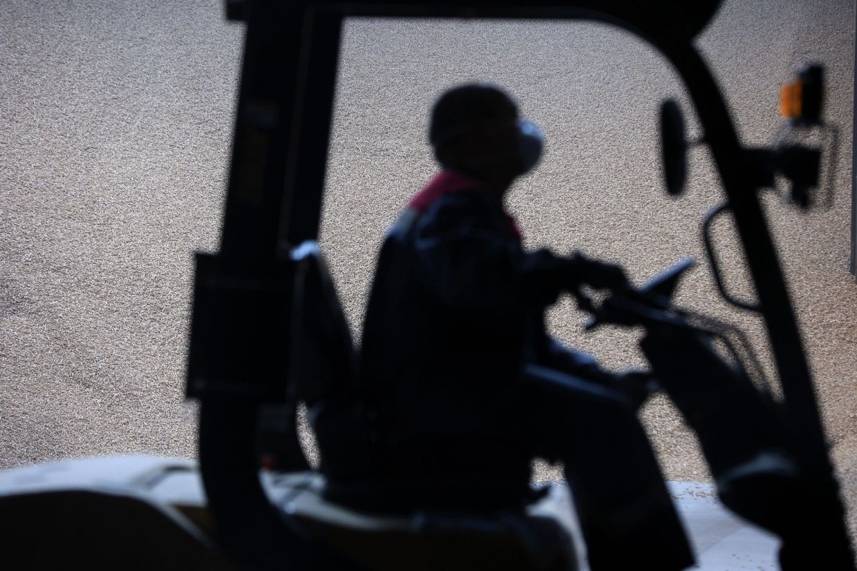 US forklift driver was distracted by his cellphone. He killed a military doctor. - Vimarsana News