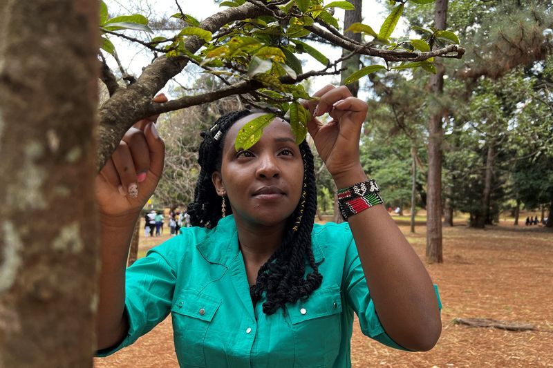 Young Kenyan tree activist speaks up for Africa at COP27 - Vimarsana News