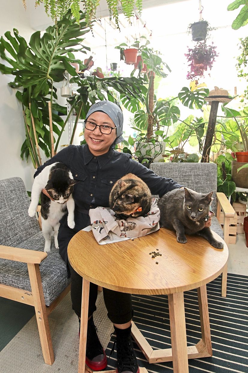 Jan Zainal with her three rescued cats who are a vital part of her plant cafe. Photo: Jan Zainal