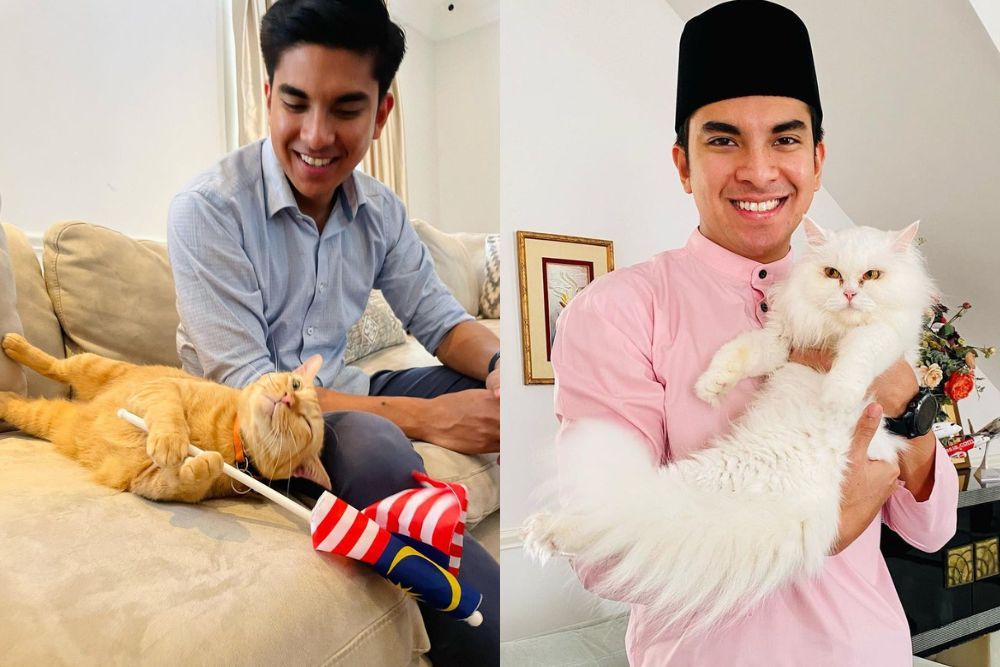 Syed Saddiq has net worth of RM1.91mil, assets declared incude his two pet cats - Vimarsana News