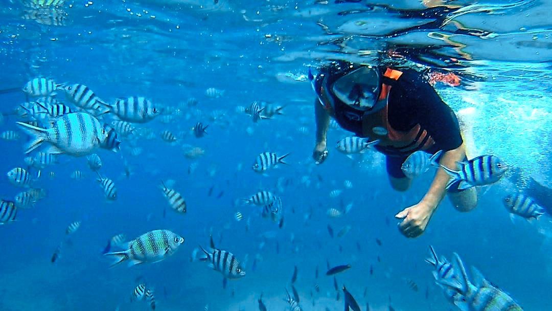The writer swimming with colourful fish in Redang, where the marine is simply amazing.