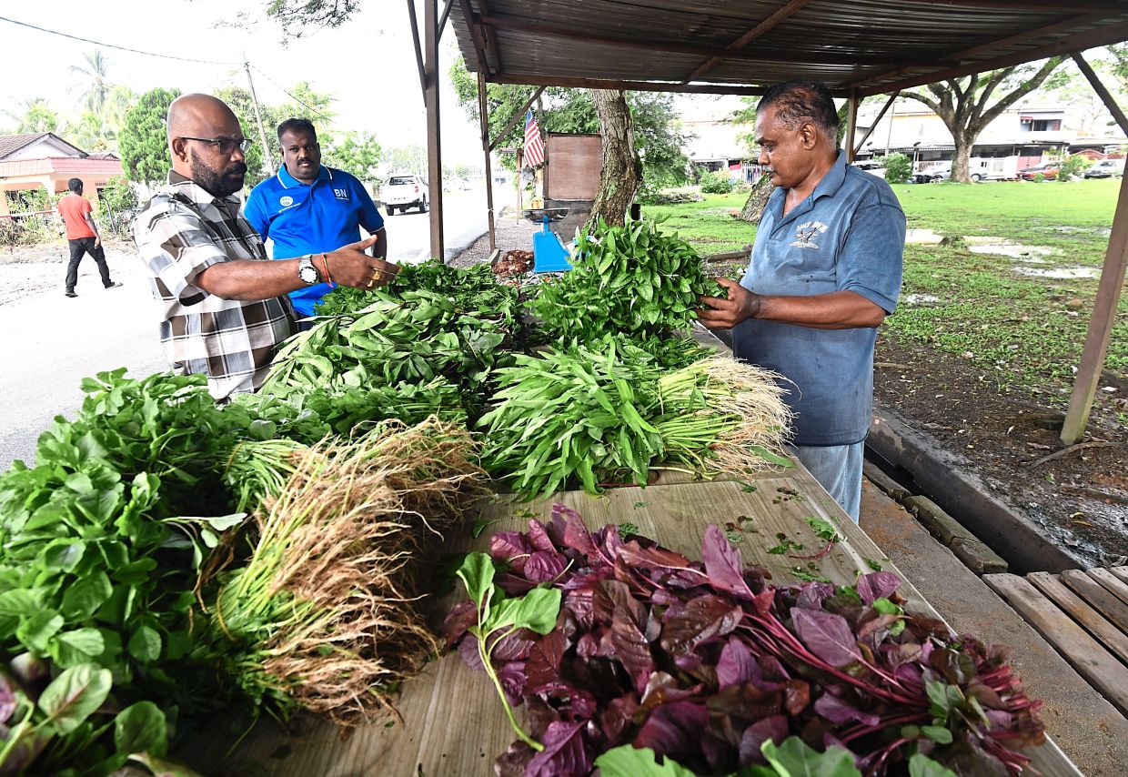 Hawkers want centralised trading space The Star