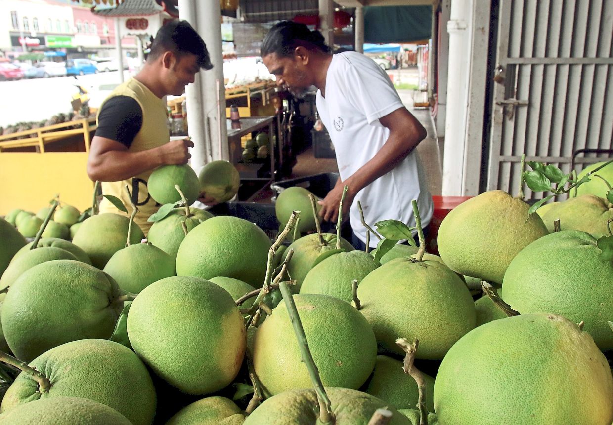 Pomelo town sees election action The Star