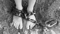 GE15: Balik Pulau indie candidate Johnny Ch'ng used connections to rescue teen trapped in Myanmar