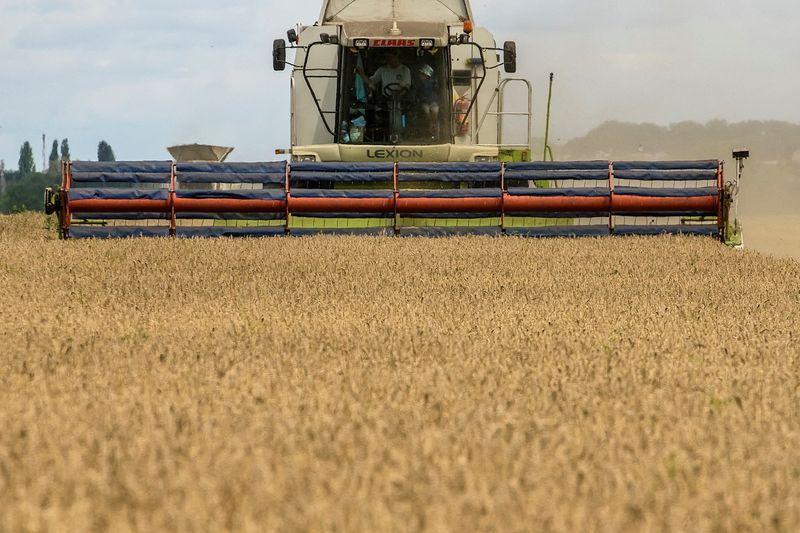 Analysis-Ukraine lacks viable plan B to boost grain exports via rail, road or river - Vimarsana News