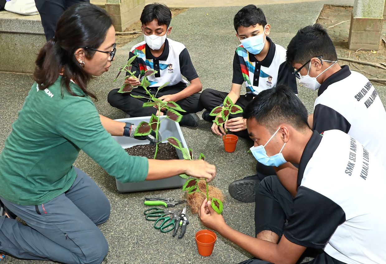 Young changemakers to the fore | The Star