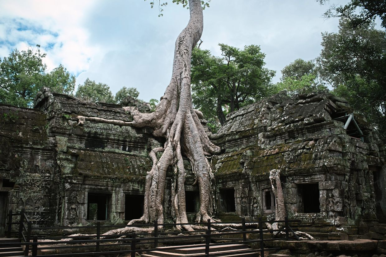 Siem Reap reinvents itself to attract more high-value tourists - Vimarsana News