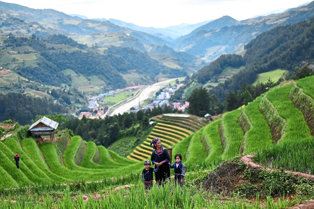 Links between Vietnamese farmers and enterprises seen vital - Vimarsana News