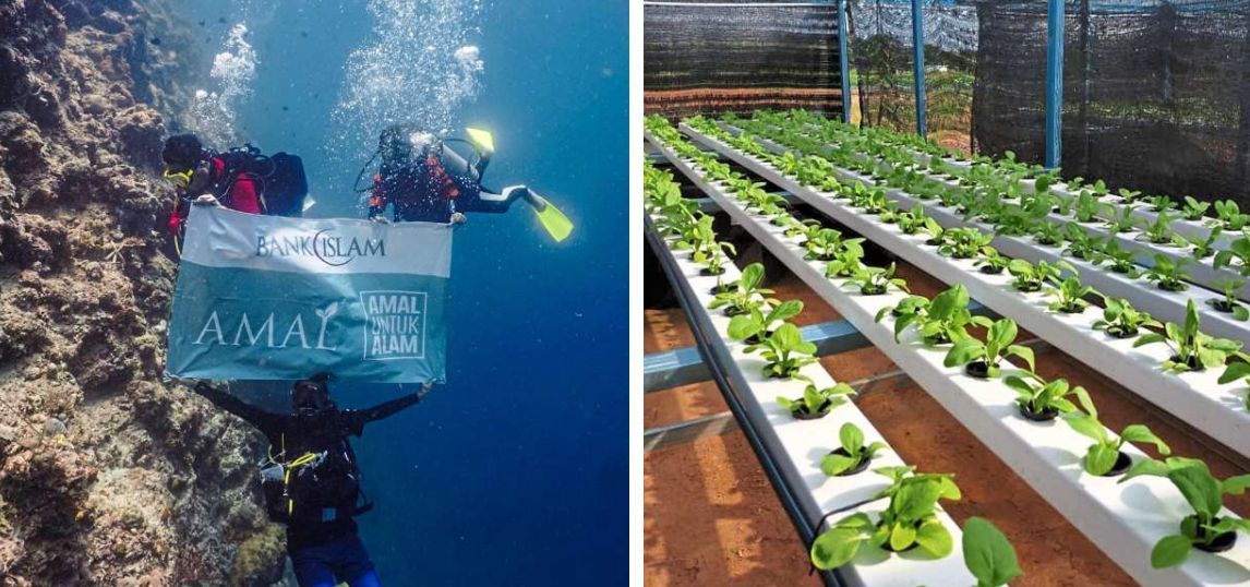 AMAL partnered with ReefCheck Malaysia to check on the growth of sea grass and corals around Mabul island and the effectiveness of the new sanitation system, while supporting sustainable projects such as hydroponic farming with Jasin Correctional Centre in Melaka.