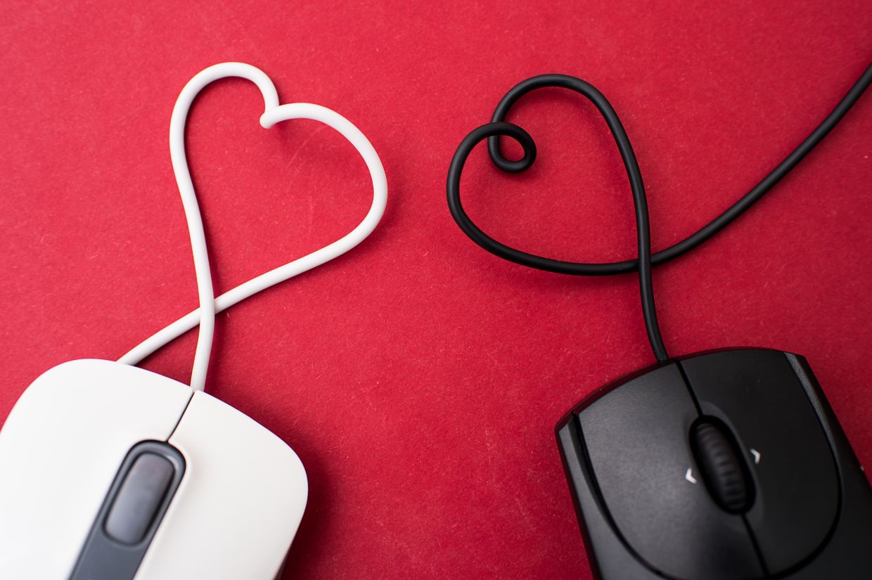 Catfishing cosmonauts, scamming soldiers: Never fall in love online? - Vimarsana News