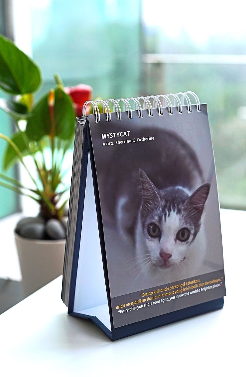 Mystycat On Desk: Inspirational pet calendars make lovely gifts. Photo: IPAN/Sherrina Krishnan-Leyow