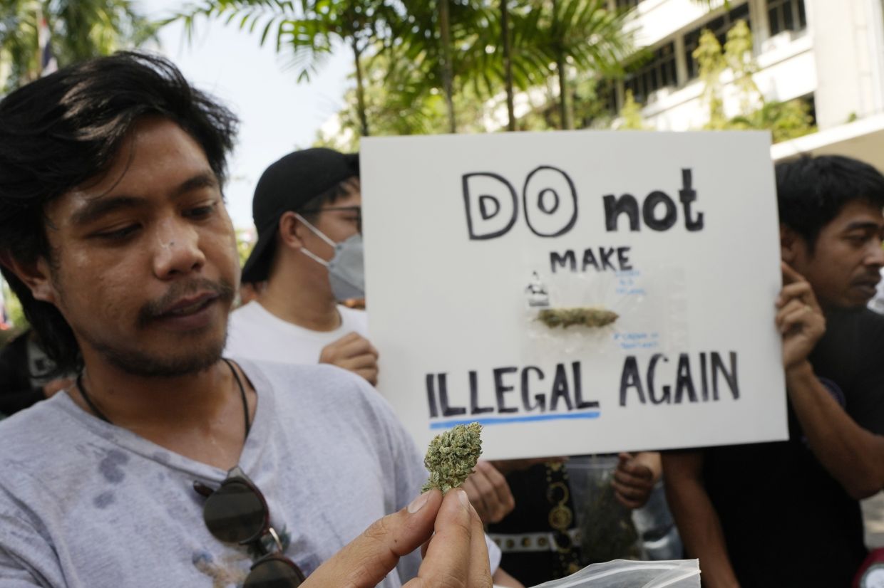 A cannabis supporter holds a piece of cannabis during a demonstration outside the Government House in Bangkok, Thailand, Tuesday, Nov. 22, 2022. Thailand made it legal to cultivate and possess marijuana for medicinal purposes earlier this year, but lax regulations allowed the growth of a recreational marijuana industry, and the demonstrators don't want the rules against it to be strengthened again. - AP