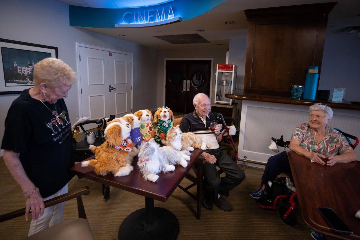 Robot pets help these US seniors make friends - Vimarsana News