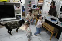 South Korea in demographic crisis with many deciding against having babies