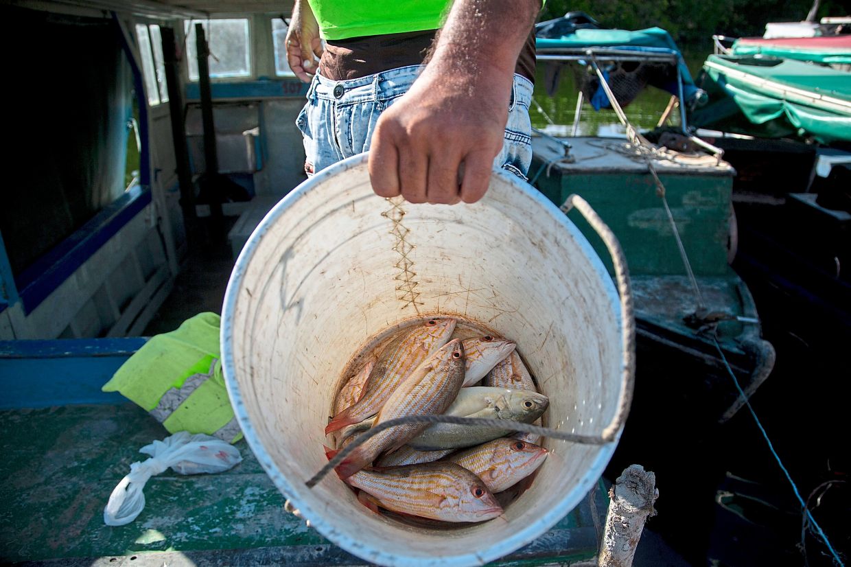 A fisherman shows his poor catch of fish in Batabano, Cuba, Oct 25. 