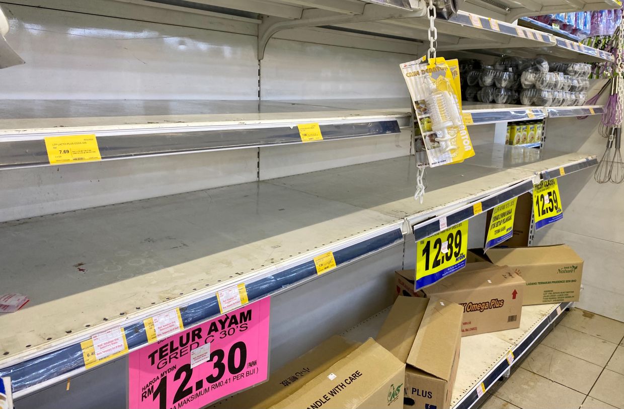 Egg supply still short across the country - Vimarsana News