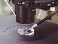 Number of babies born from donor sperm triples