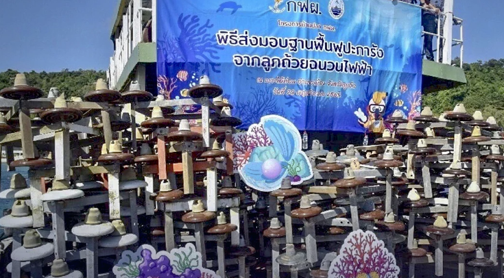 Coral gets a breather as porcelain frames help create new reefs in Thai seas - Vimarsana News