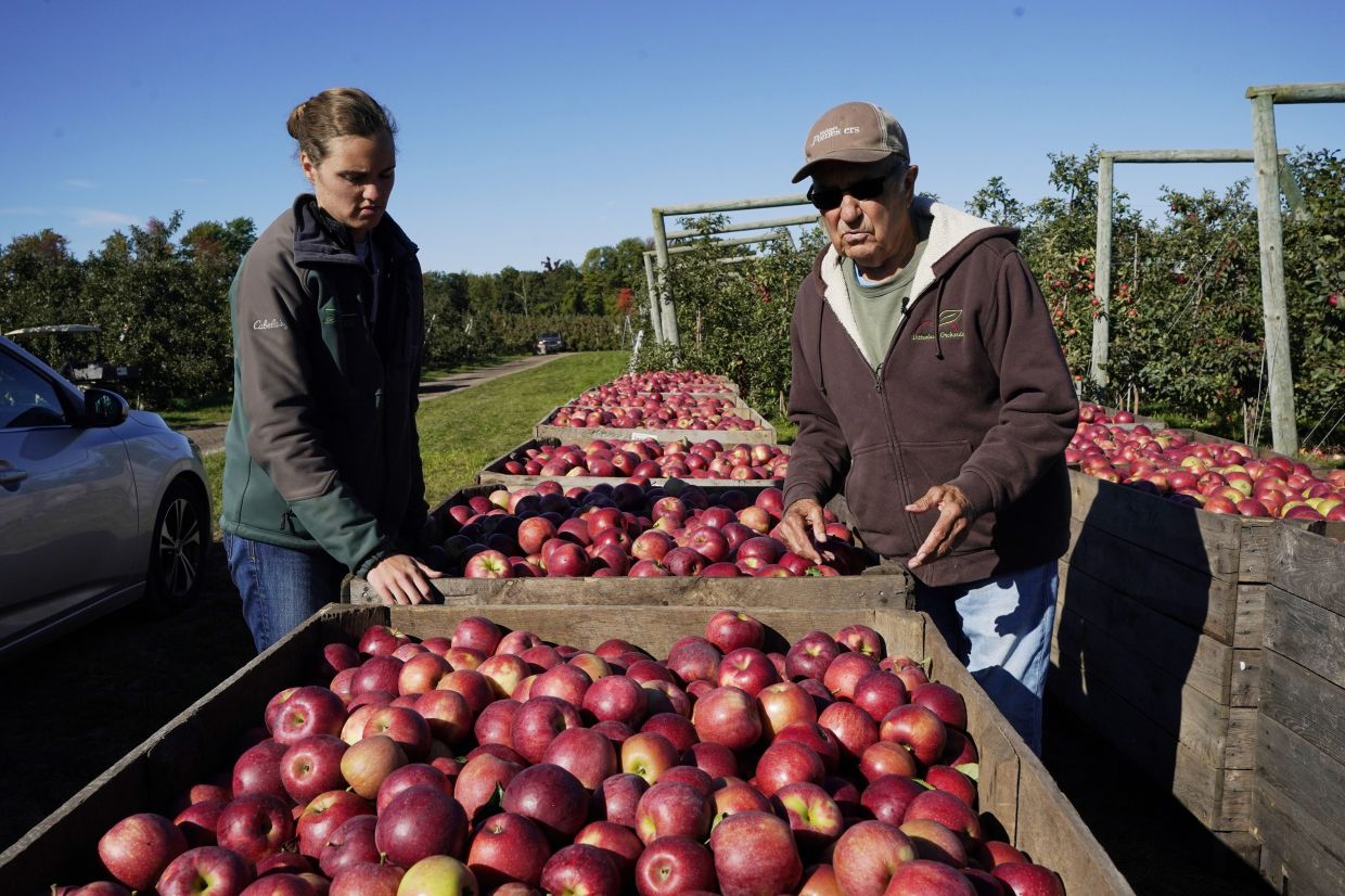 Fight to curb food waste increasingly turns to science, tech - Vimarsana News