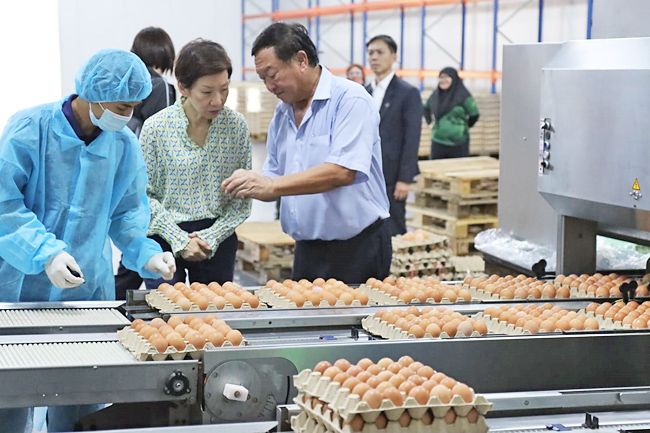 Food security boost with Brunei-Singapore cooperation - Vimarsana News