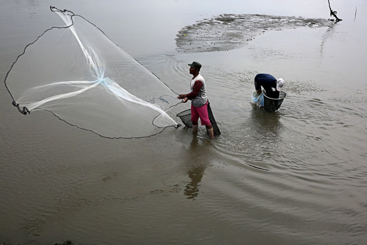 ADB pours US$93mil loan to advance Indonesia's shrimp farming - Vimarsana News