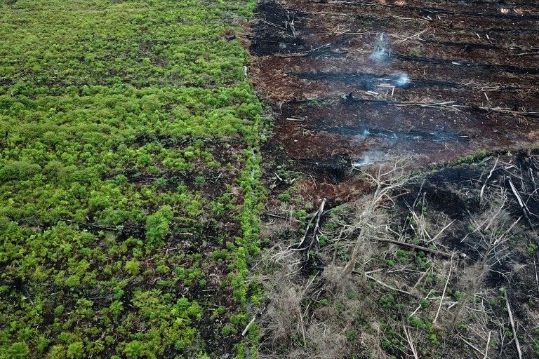 Indonesia and US to launch US$50 million partnership toward 2030 carbon sink goal - Vimarsana News