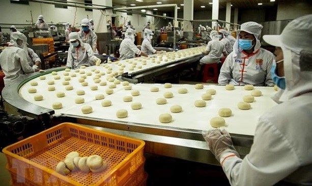 Vietnam and Indonesia can cooperate to become regional economic locomotives, says top official - Vimarsana News
