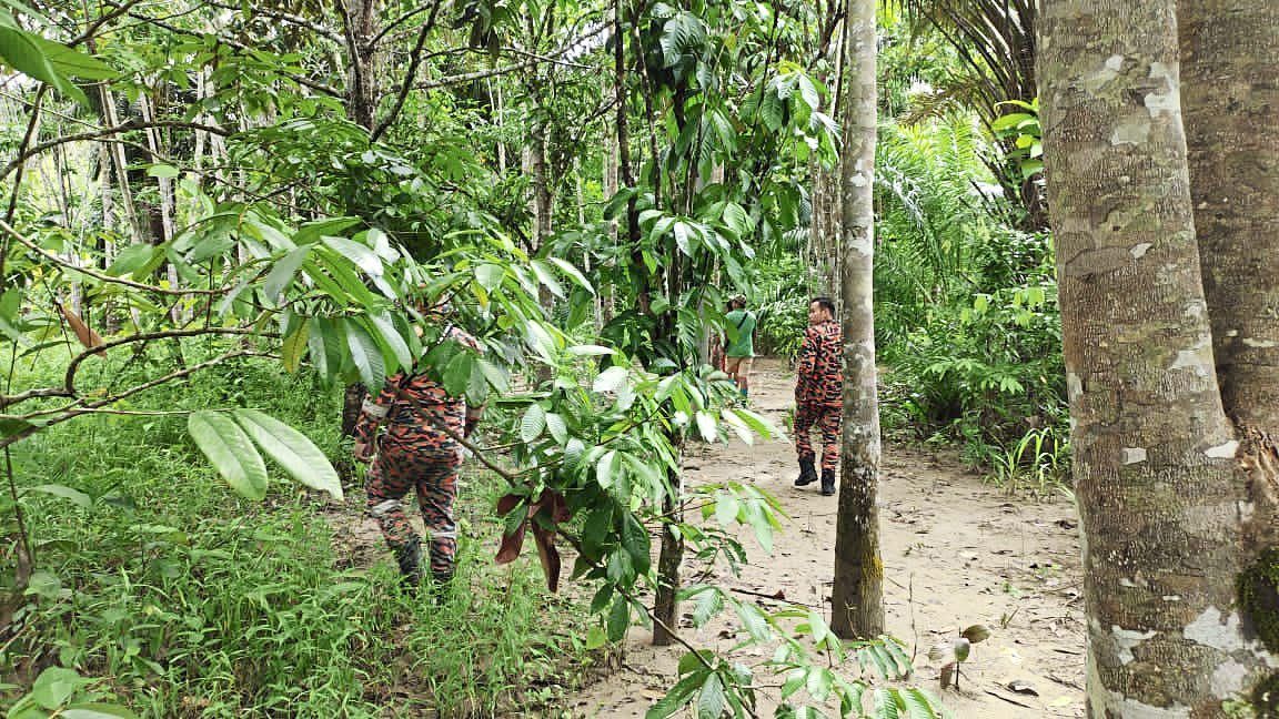 Hiker missing on Gunung Pulai found safe - Vimarsana News