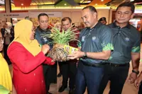 Pushing EV use for low-carbon city goal