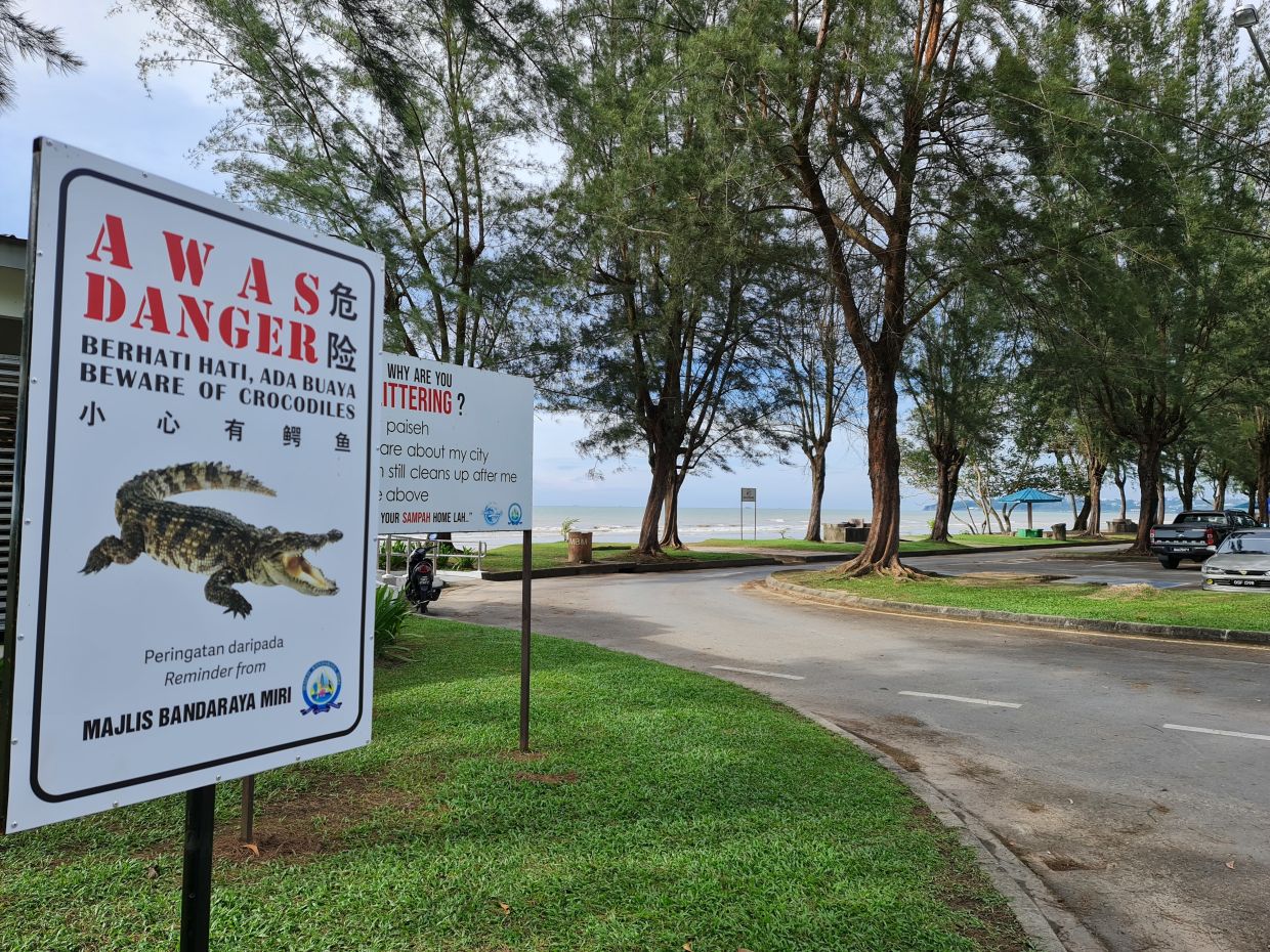Authorities had to put up this sign warning of crocidiles at the Luak Esplanade on the outskirts of Miri, a popular area for picnics and barbecues. — Filepic/The Star
