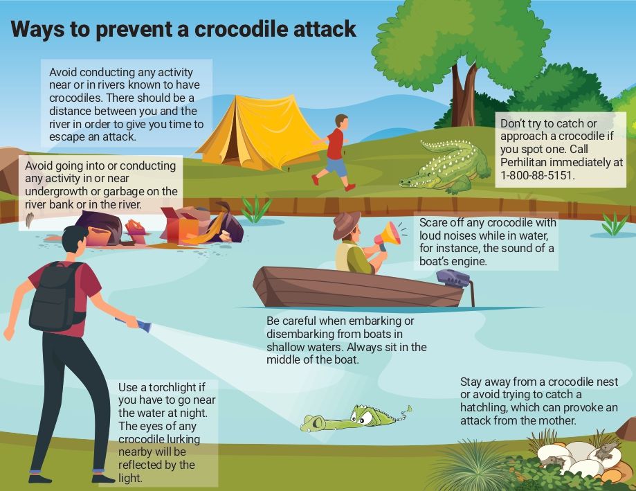 avoid_croc_attacks