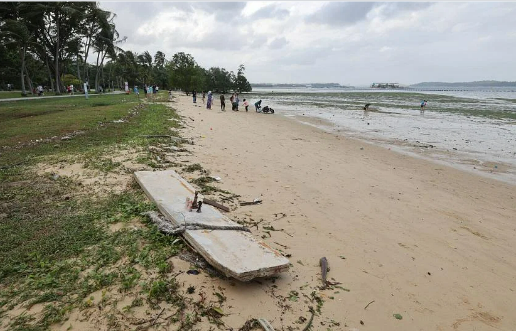 Police probe foetus find at Pasir Ris Park on Christmas Eve - Vimarsana News