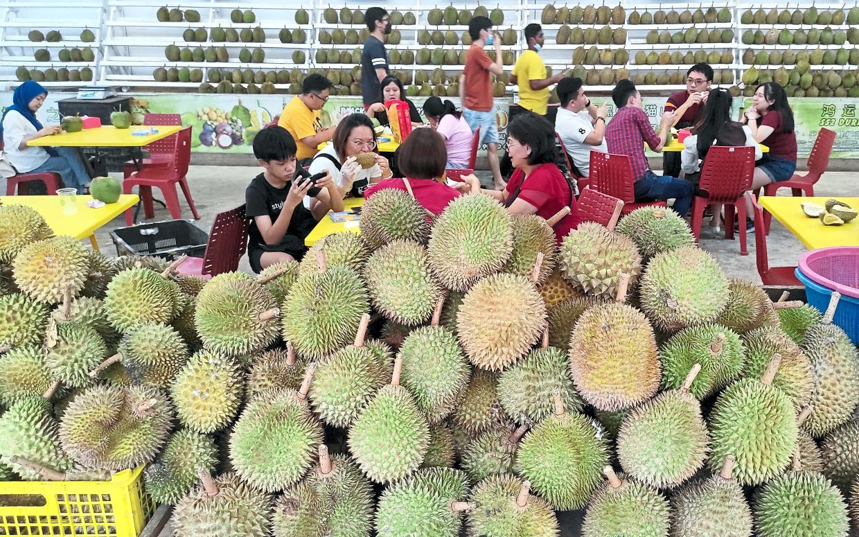 Premium durians going for a steal - Vimarsana News